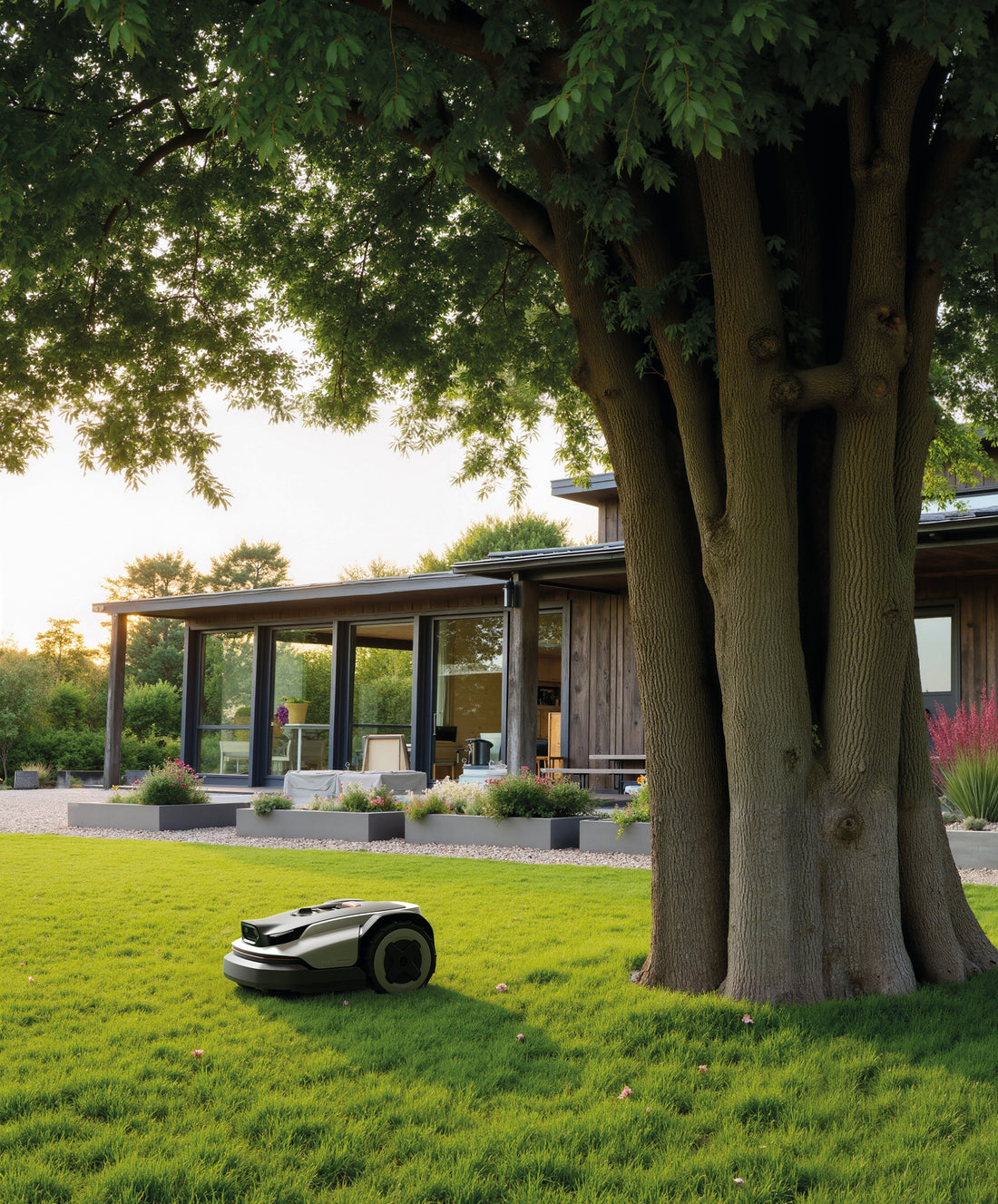 Wenn der  Rasen ruft – und man einfach sitzen bleibt